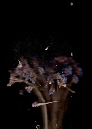 Scanography 1