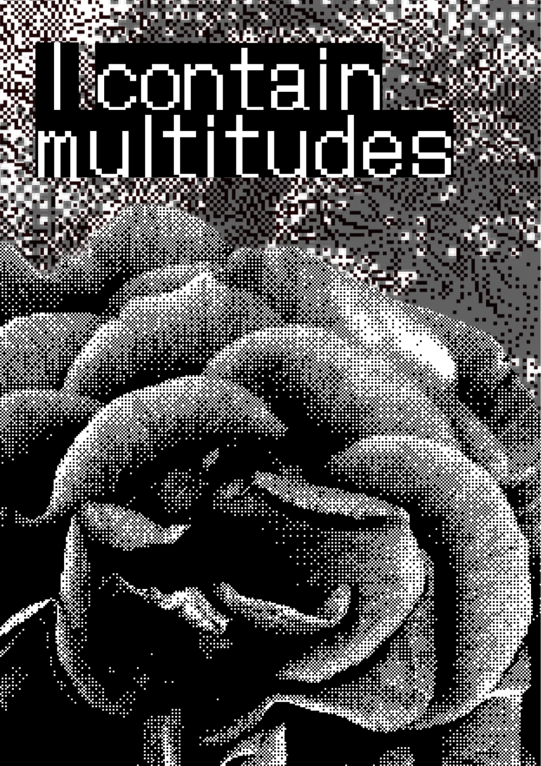 I Contain Multituted Poster