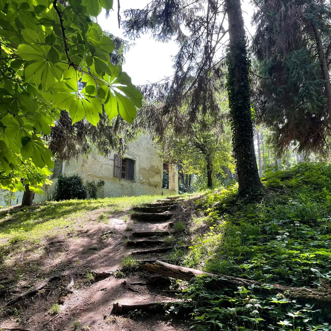 Photo of a park in Sremski Karlovci