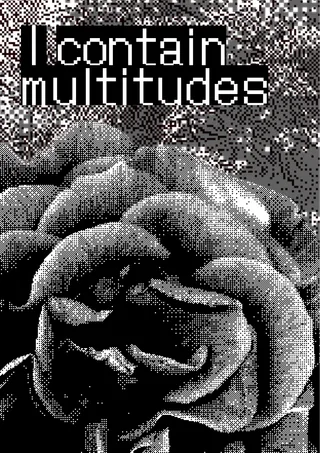 I Contain Multituted Poster