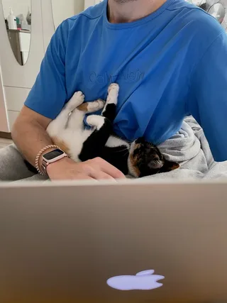 Photo of me with the cat named Kartoshka sleeping in my hands