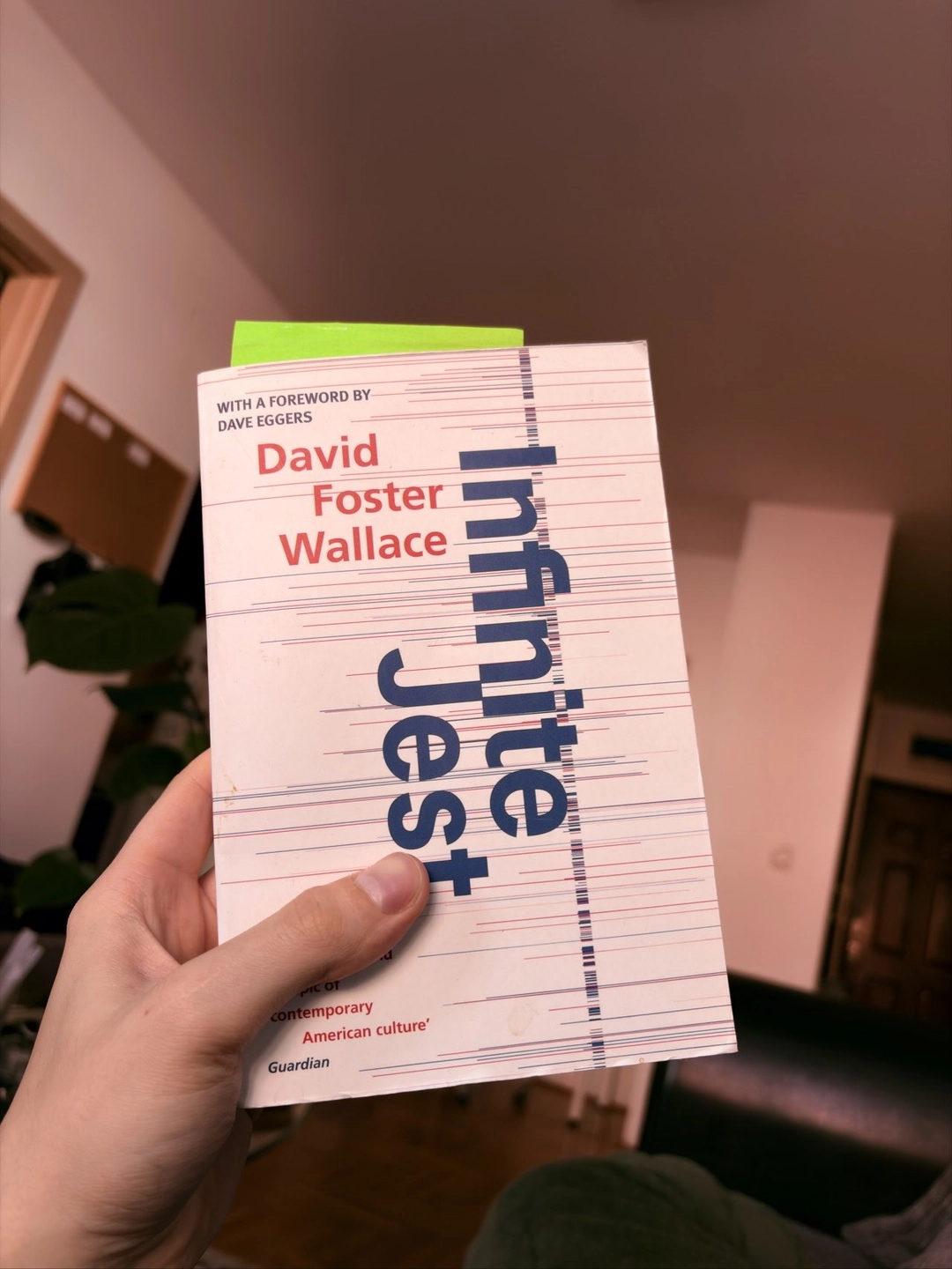 Photo of massive Infinite Jest book